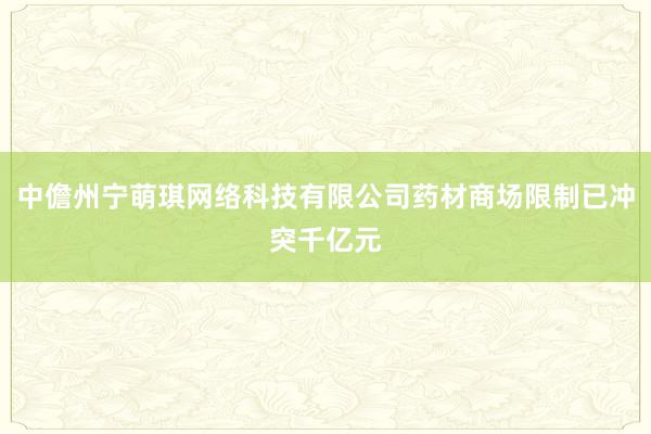 中儋州宁萌琪网络科技有限公司药材商场限制已冲突千亿元